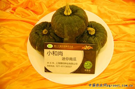 杭州骊峰山农业开发公司来磐考察蔬菜生产