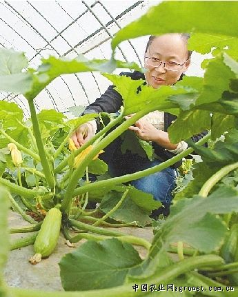 南京红萝卜加工技术