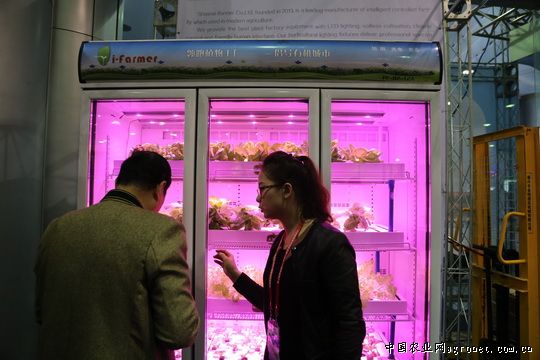 柳州加强蔬菜质量安全风险检测（图）