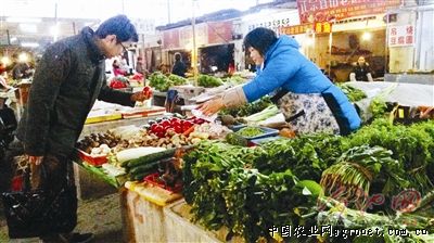 庆阳黄花菜种子公司