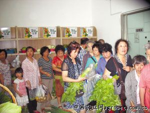 湖南省返乡农民工栽种出30亩大棚蔬菜（图）