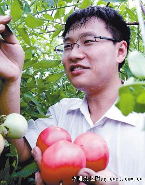 云南耿马县成功打造“南菜北运”重要蔬菜生产基地