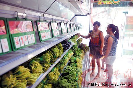 潍县萝卜市场价格