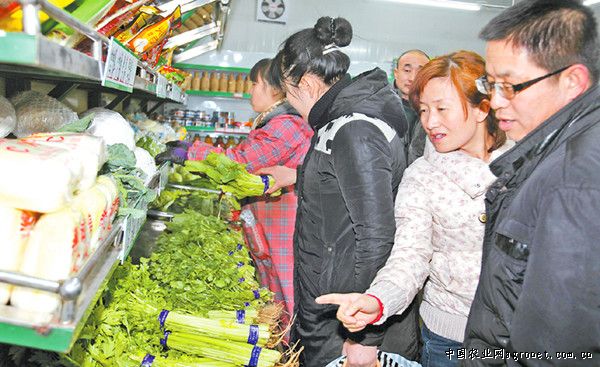 渭南玉米批发零售