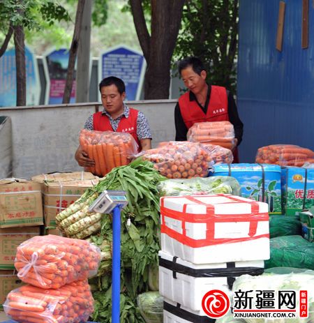 竹丝长茄市场价格