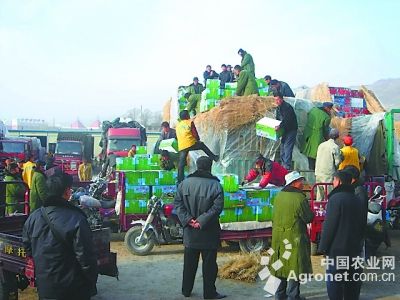 缅甸玉米1吨多少关税