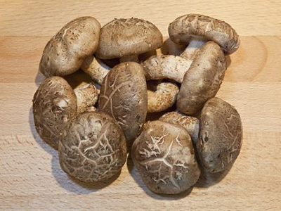 板栗薯种植时间