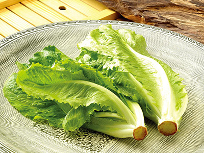 韩国cr黄心大白菜种子