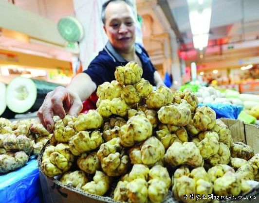 聊城：应季蔬菜大量上市 价格季节性回落