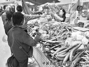 张溪香芋市场价格