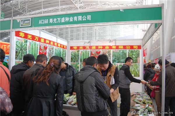 南京红萝卜育种技术