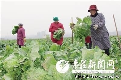 邯郸市建华植物农药厂