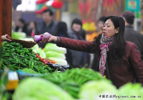 红菠菜市场价格