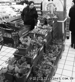 上海韭黄多少钱一斤