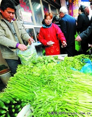 竹荪批发价是多少钱一斤