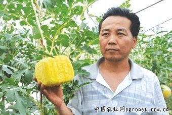 南京红萝卜产地供应