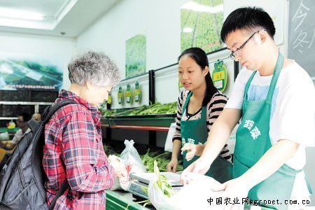 河南省韭菜种子价格表
