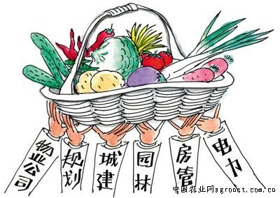 中农26黄瓜贮藏方法