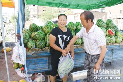 “菜篮子”展示四川蔬菜产业发展路径