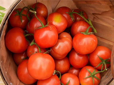 茄子专用杀菌剂批发价格