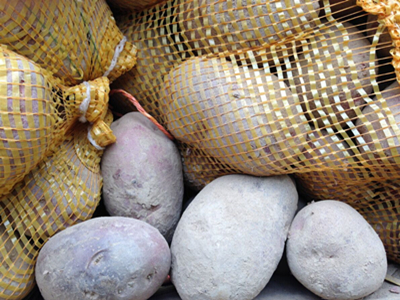 紫薯种植利润多少