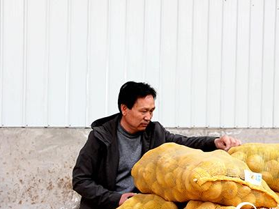 豌豆育苗用什么肥