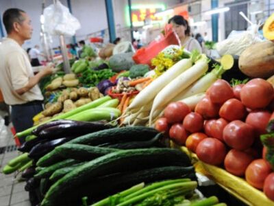 红菜苔种子价格一览表