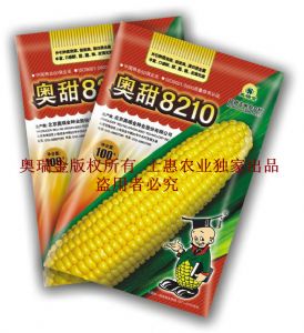 供应奥甜8210—超甜水果玉米种子