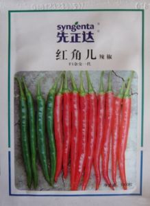 红角儿辣椒F1——辣椒种子