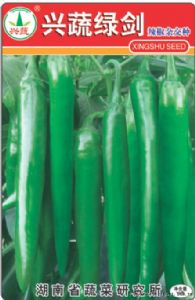 供应兴蔬绿剑—辣椒种子