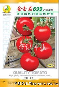 供应金玉石699石头—番茄种子