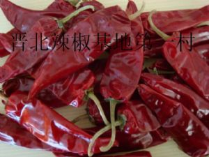供应L3（鲜绿鲜红）辣椒