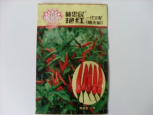 供应艳红指天椒—辣椒种子