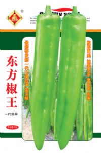 供应东方椒王—辣椒种子