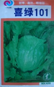 喜绿101——生菜种子