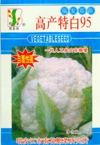 供应高产特白95－花椰菜种子