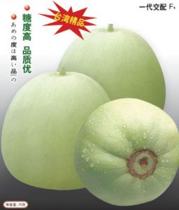 供应台湾浓香密宝—甜瓜种子