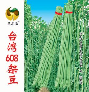 供应台湾608架豆—豇豆种子