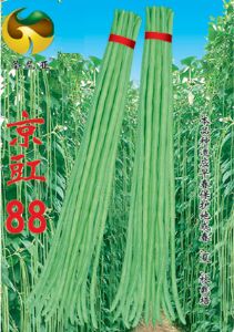 供应豇88—豇豆种子