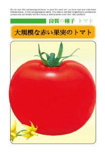 供应野田、佳艳—番茄种子