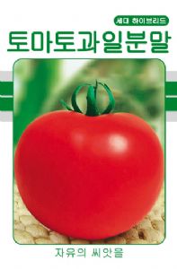 供应荷兰粉霸—番茄种子