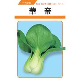 供应华帝—青梗菜种子