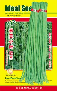 供应米美小叶——豇豆种子