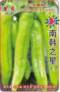 供应新南韩之星——辣椒种子