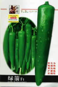 供应绿箭F1—辣椒种子