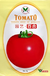 供应百合—番茄种子