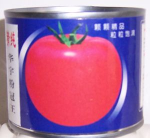 供应清纯华宇粉冠王—番茄种子