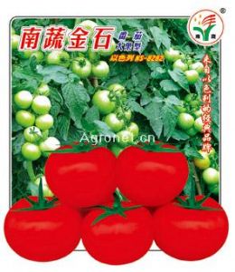 供应南蔬金石8282——番茄种子