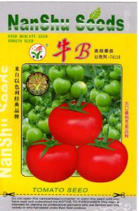 牛B高档番茄-番茄种子
