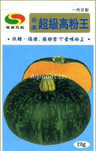 供应超级高粉王——南瓜种子
